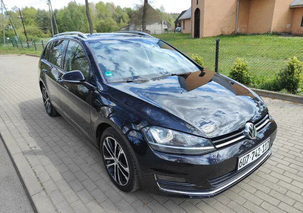 volkswagen golf chocianów Volkswagen Golf cena 43900 przebieg: 174870, rok produkcji 2016 z Chocianów